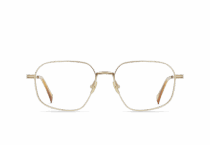 DALVIN_JAPANESE-GOLD-CLEAR